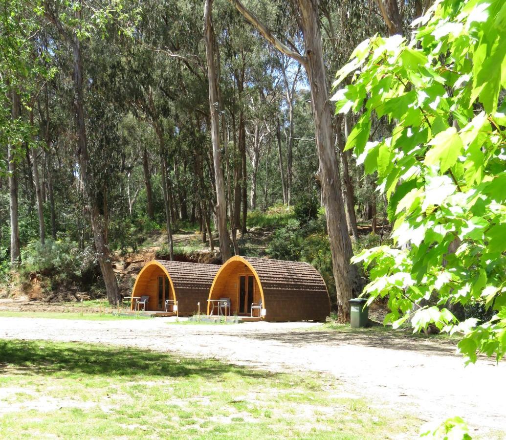Beechworth Holiday Park Buitenkant foto