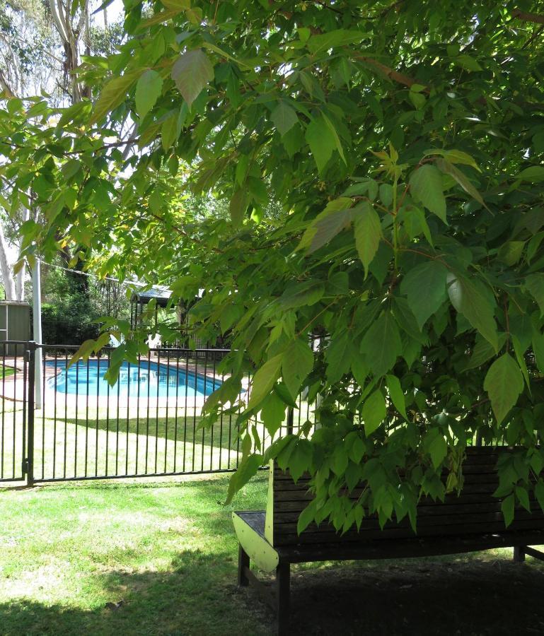 Beechworth Holiday Park Buitenkant foto