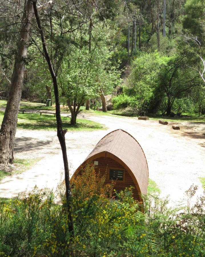 Beechworth Holiday Park Buitenkant foto