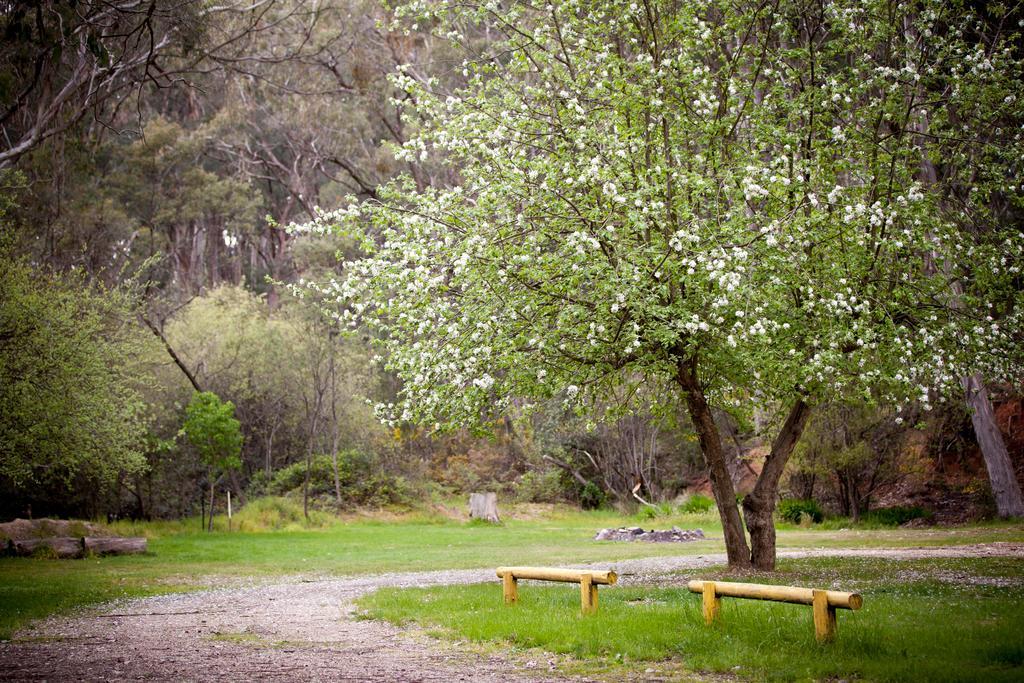 Beechworth Holiday Park Buitenkant foto