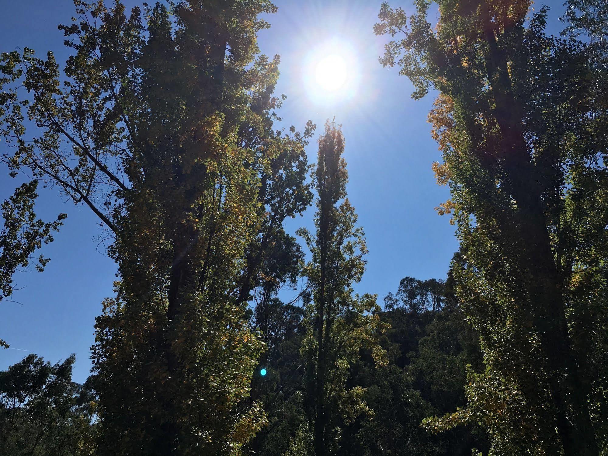 Beechworth Holiday Park Buitenkant foto
